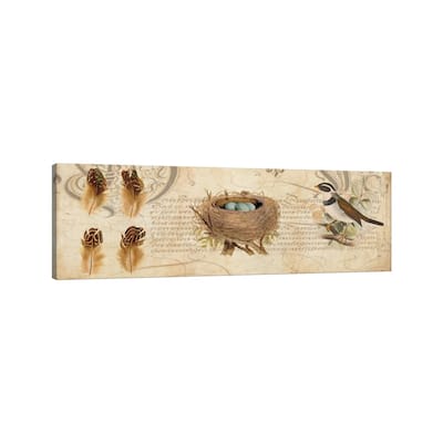 iCanvas "Nesting I" by Deborah Devellier Canvas Print