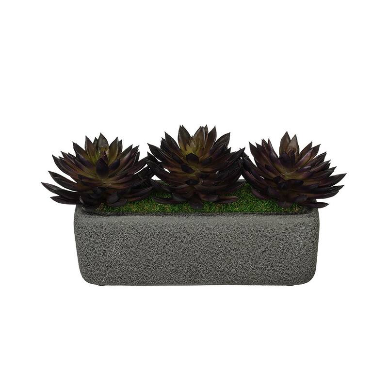 Faux Pointed Echeveria Garden in Black Sandy-Texture Ceramic Vase