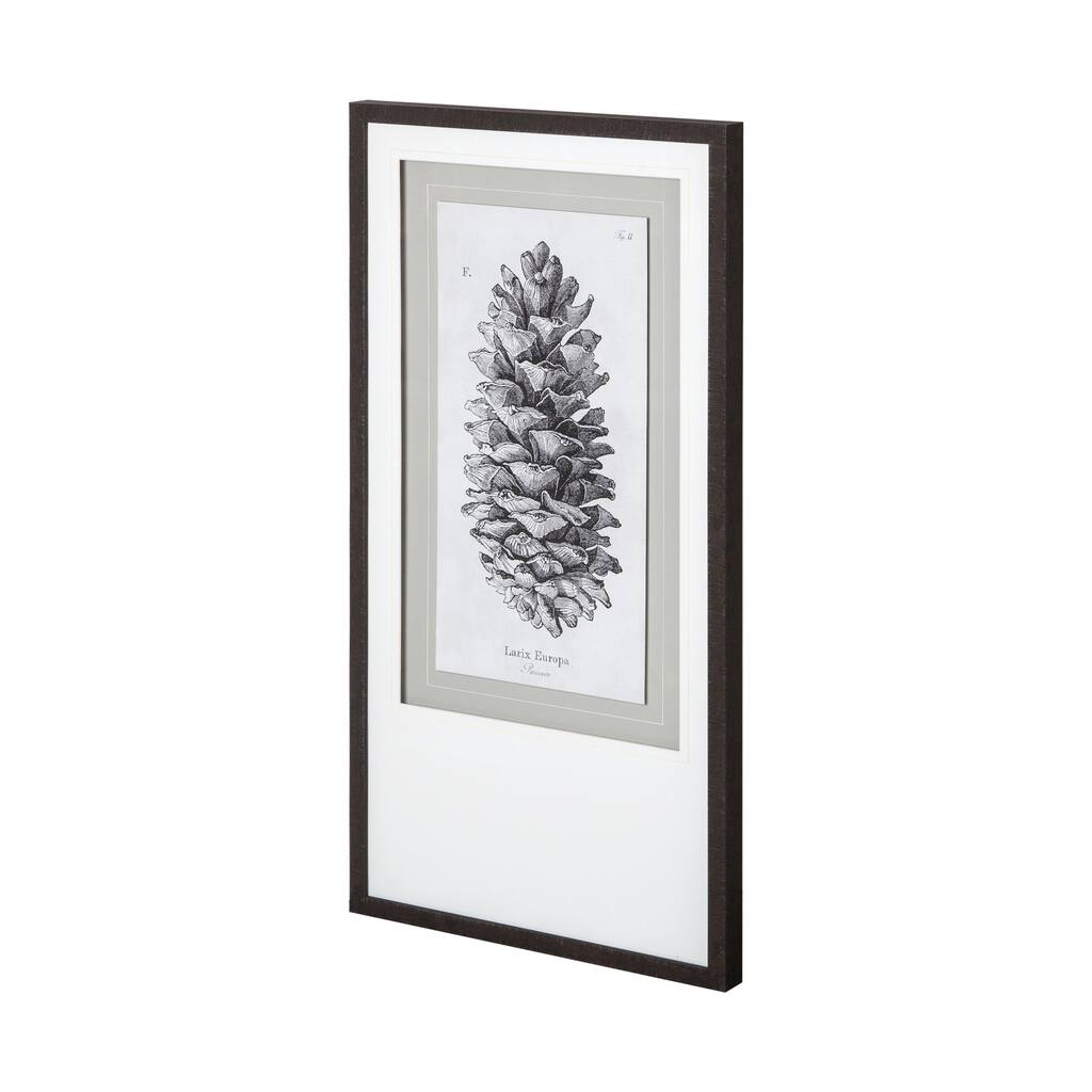 Larix Europa Framed Art Print