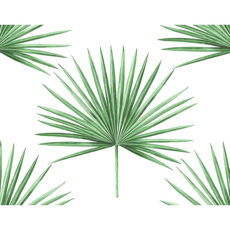 Harry & Grace Pacific Palm Peel and Stick Wallpaper - 27 in. W x 18 ft. L - Greenery