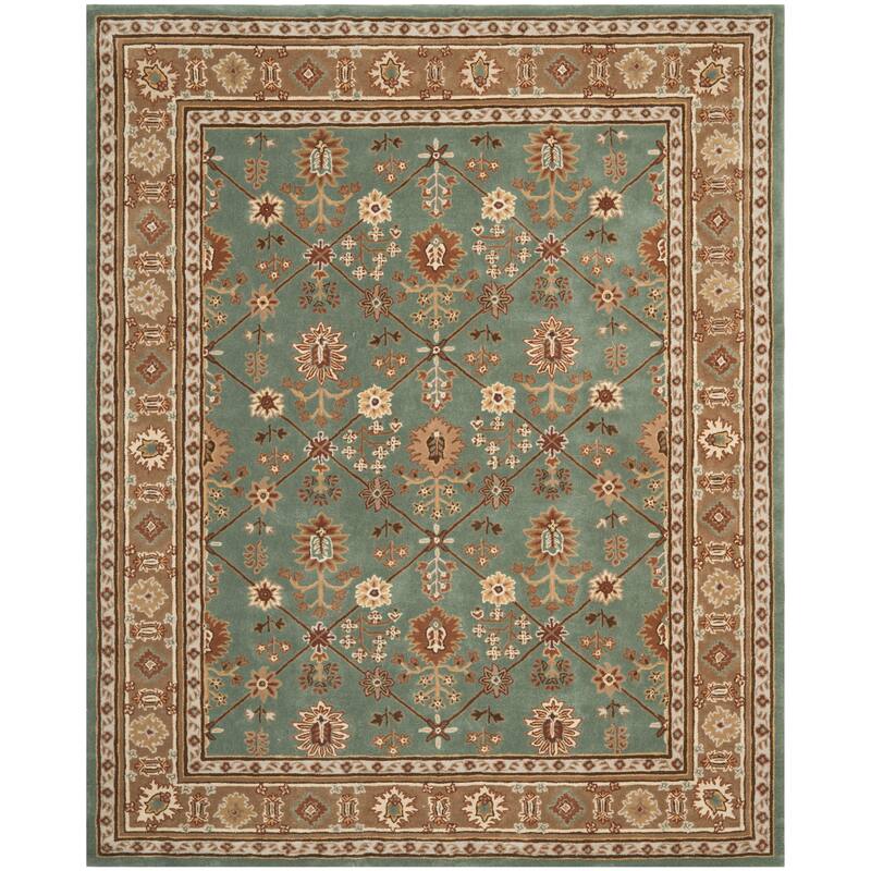 SAFAVIEH Handmade Total Performance Sebnem Oriental Rug