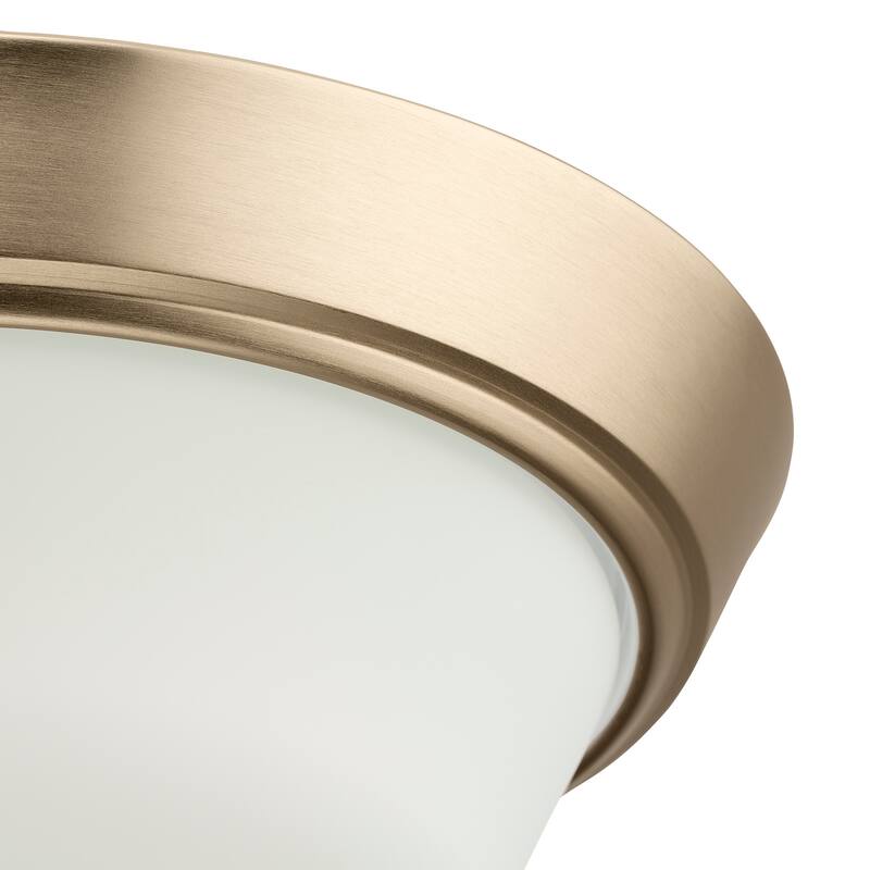 Progress Lighting P350303 Edessa 2 Light 13" Wide Flush Mount Bowl