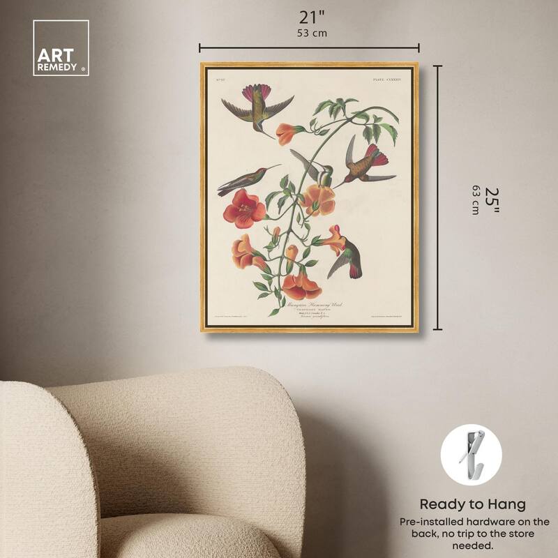 Humming Bird 1834 Canvas by Art Remedy