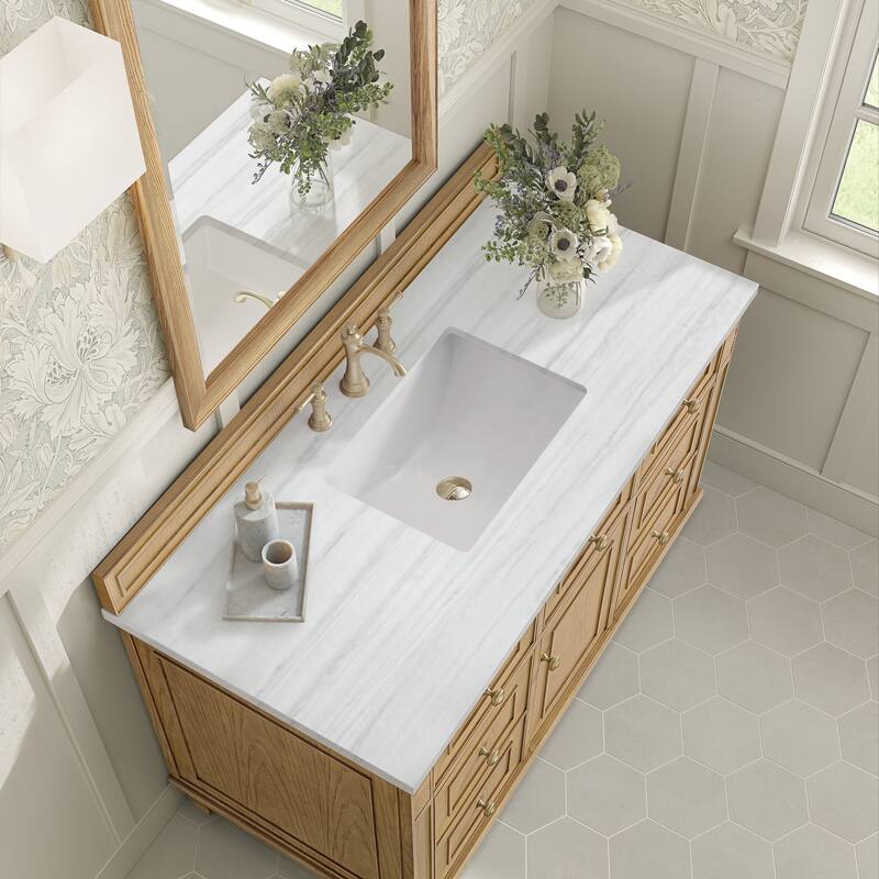 James Martin Vanities Lorelai 48" Single Vanity, Light Natural Oak - Arctic Fall