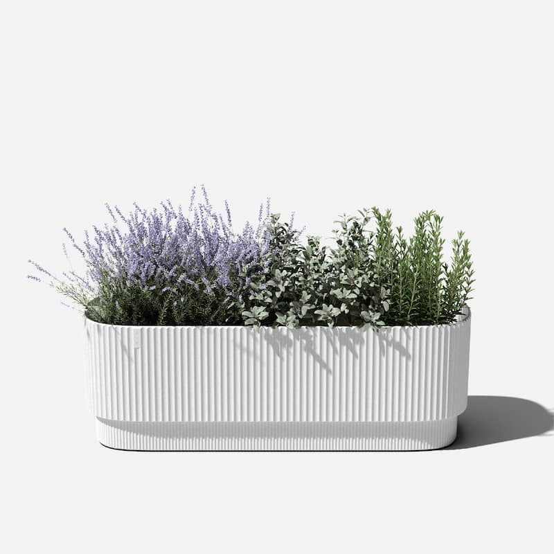 Veradek Demi Series 42'' Self-Watering Plastic Garden Bed