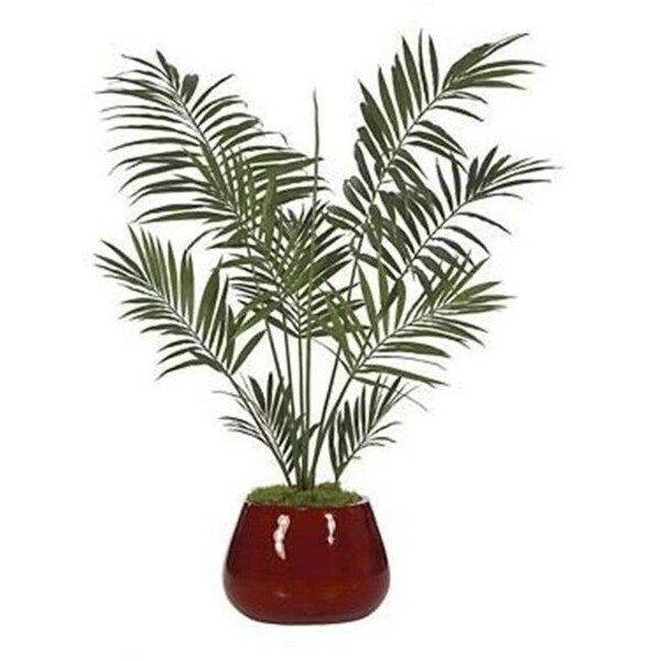 Autograph Foliages P-2420 - 6.5 Foot Kentia Palm Tree - Green