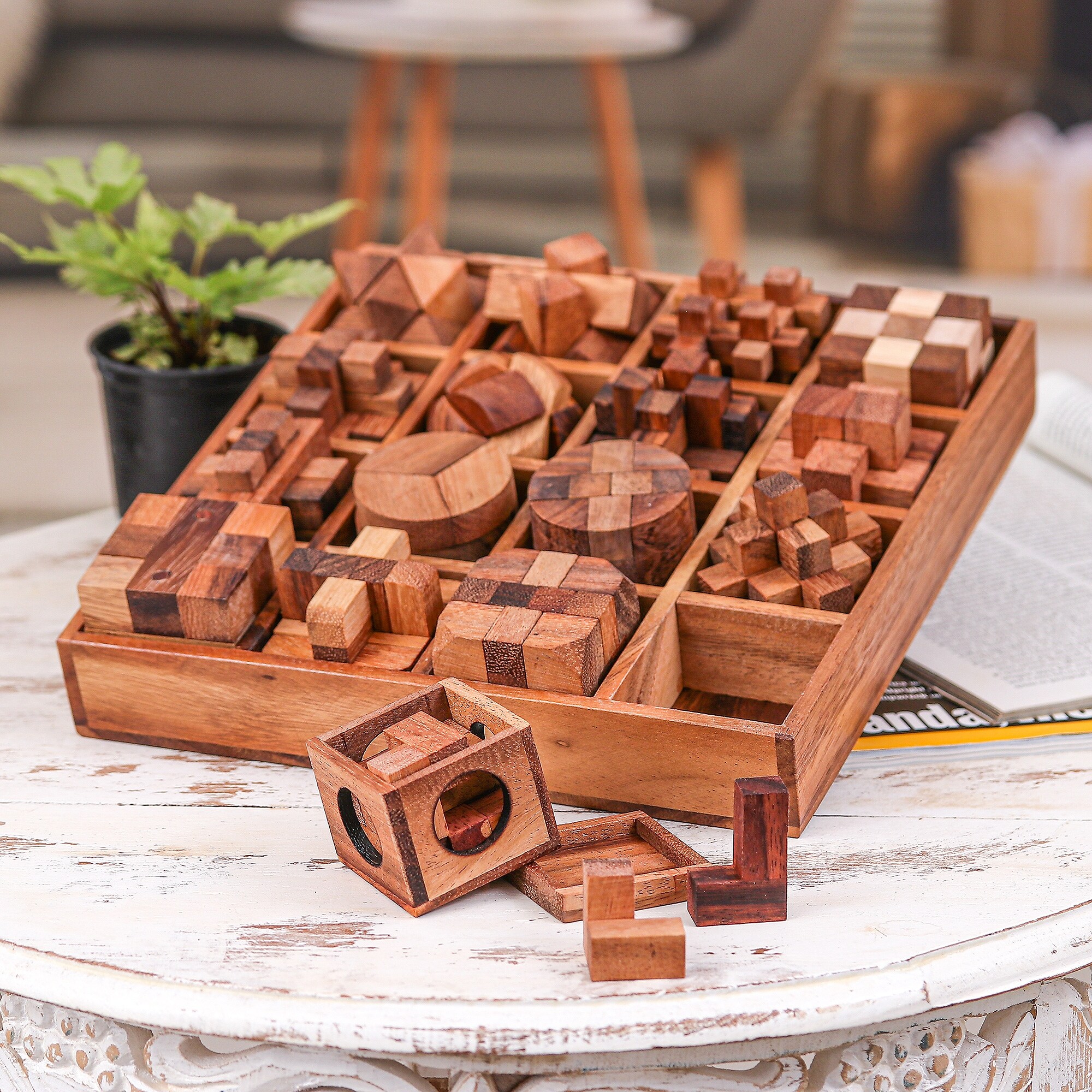 Novica Handmade Logical Challenges Wood Puzzle Set (Set Of 16
