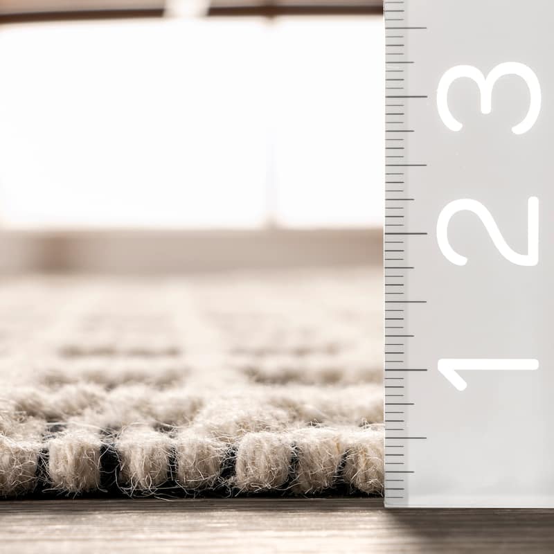 Parker Check Textured Area Rug