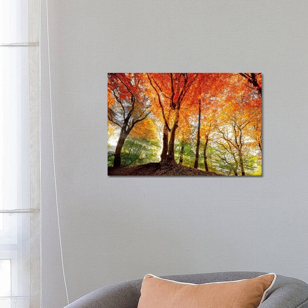 iCanvas "Prism Of Light" by Lars van de Goor Canvas Print