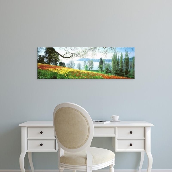 Easy Art Prints Panoramic Images's 'Lake Constance, Insel Mainau, Germany' Premium Canvas Art