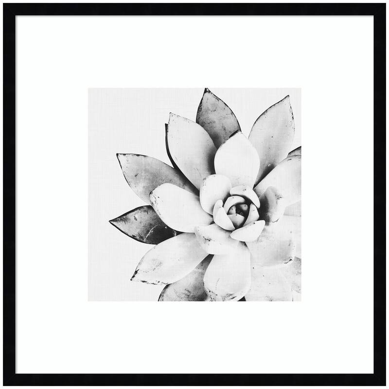 Kate and Laurel Modern Succulent by Tai Prints Framed Wall Art Print - 25 x 25 - Black