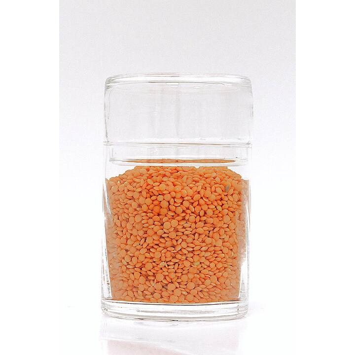 Canister Jar with Spiral Design, Liscio Ottico