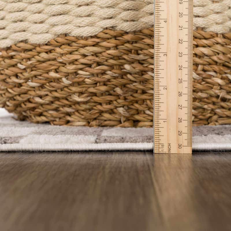 Hauteloom Pertek Checkered Square Tile Distressed Area Rug