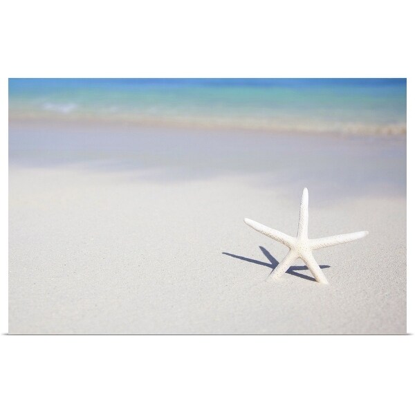 "Single starfish stuck in beach sand." Poster Print