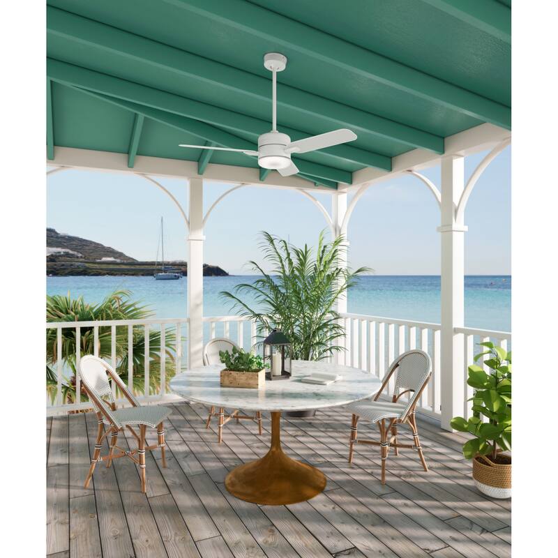 Casablanca 54" Paume Outdoor Ceiling Fan with LED Light Kit and Wall Control - Coastal - DAMP RATED!
