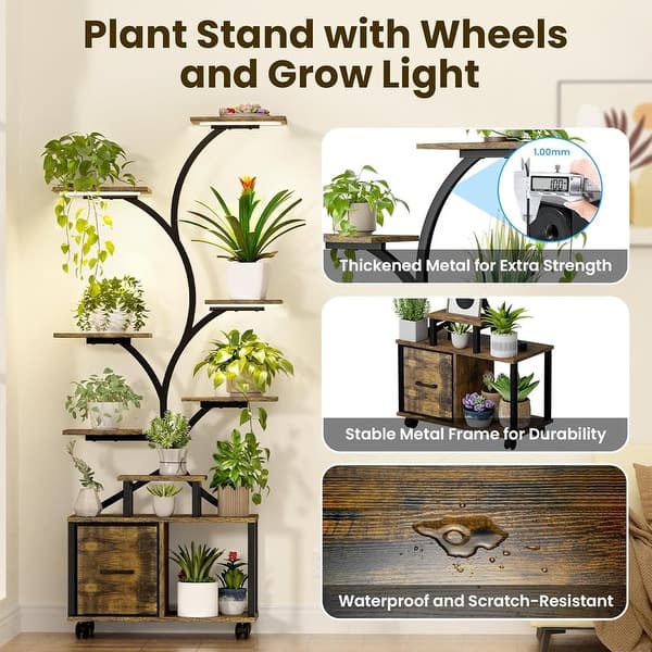 buy pineapple tomato plant Heirloom Pineapple Tomato Plants | Two Live Garden Plants