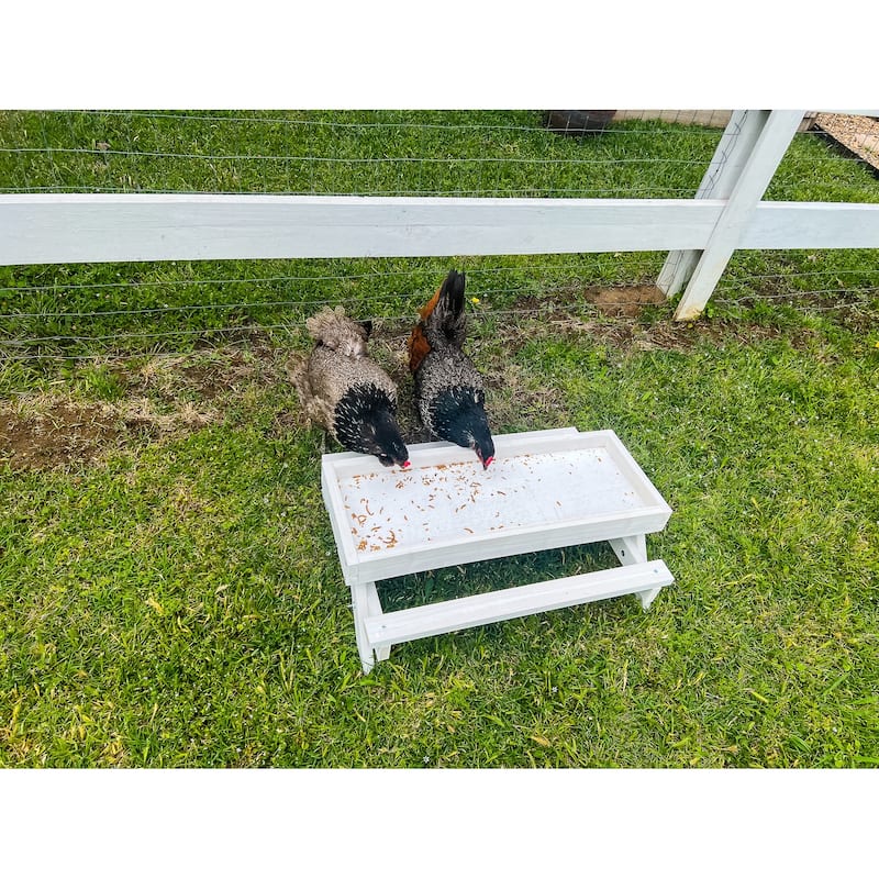 Zylina Snack-n-Feed Picnic Table - N/A - 26x17x8