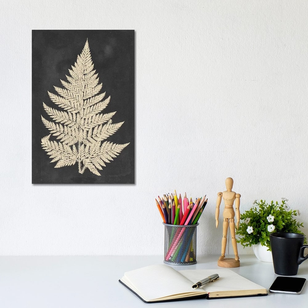 iCanvas "Linen Fern I" by Vision Studio Canvas Print