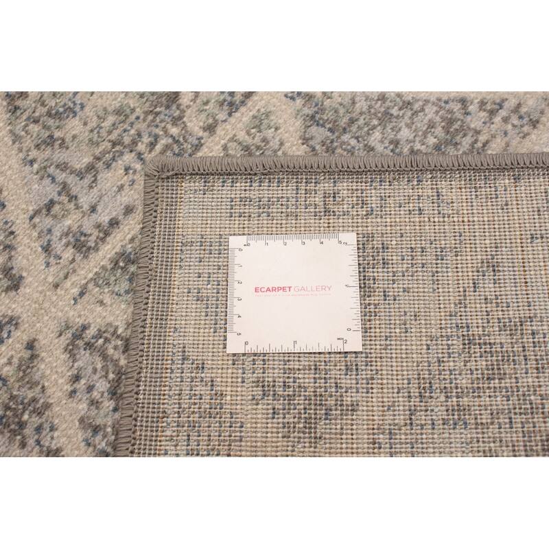 ECARPETGALLERY Julia Transitional Rug