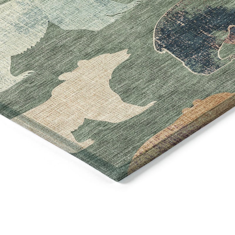 Machine Washable Indoor/ Outdoor Modern Bear Chantille Rug