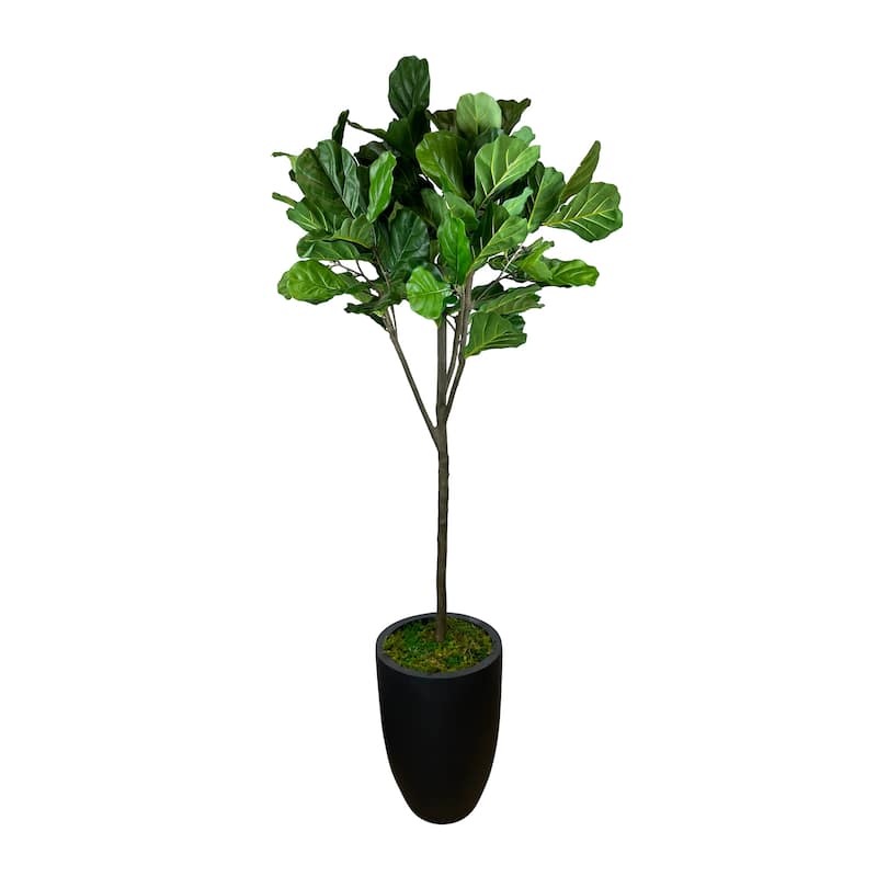 7 ft Fiddle Leaf Tree in a Fiberstone Pot - Green