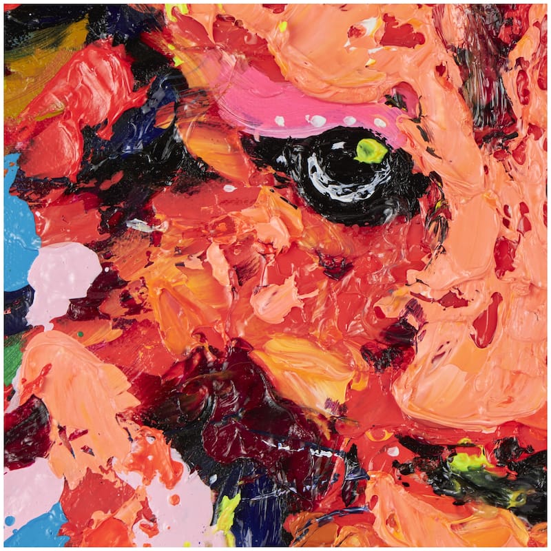 Canvas Lion Abstract Paint Splatter Wall Art with White Frame - Multi Colored - CosmoLiving by Cosmopolitan