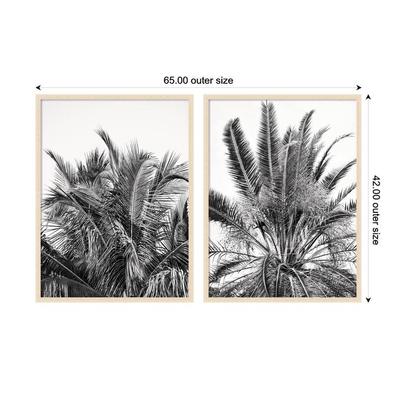 Kate and Laurel Palm No. 13 & 15 2 Piece Framed Wall Art Print Set by Alicia Bock