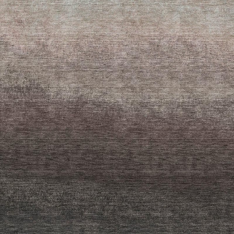 HomeRoots Ombre Transitional Rectangle Outdoor Rug