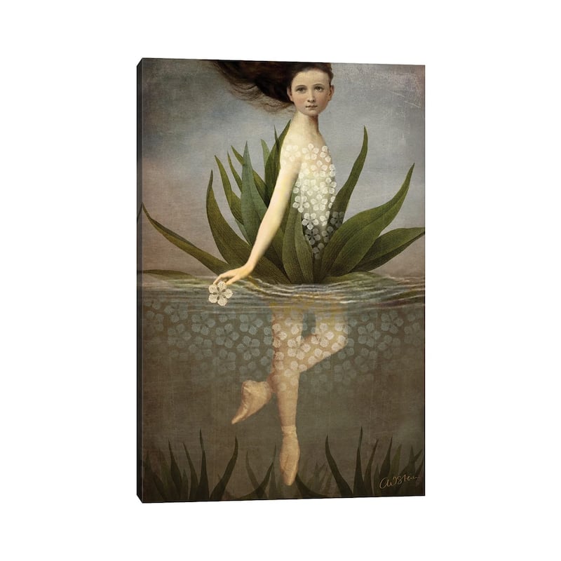 iCanvas "Waterlily" by Catrin Welz-Stein Canvas Print
