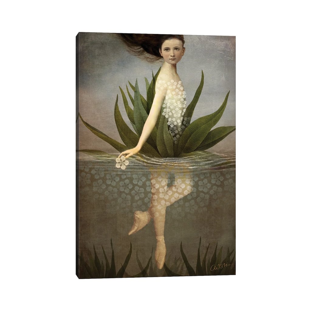 iCanvas "Waterlily" by Catrin Welz-Stein Canvas Print