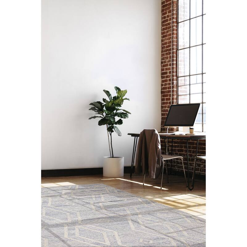 ECARPETGALLERY Flat-Weave Ankara FW Light Denim Blue Wool Kilim - 4'11 x 7'10
