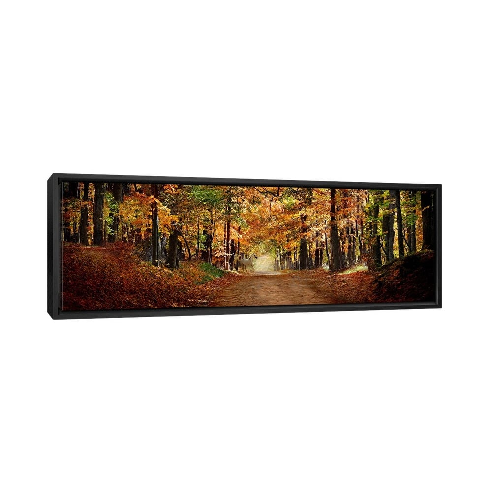 iCanvas "Horse running across road in fall colors" by Panoramic Images Framed Canvas Print