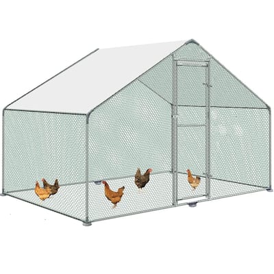 3Mx2M Large Metal Chicken Coop with Run