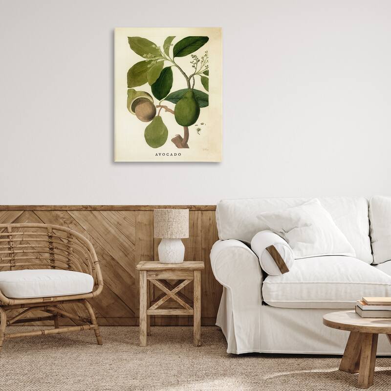 Stupell Vintage Avocado Plant Canvas Wall Art Design By Lil' Rue