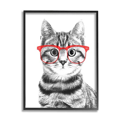 Stupell Black White Monochrome Cat Red Glasses Design Framed Wall Art
