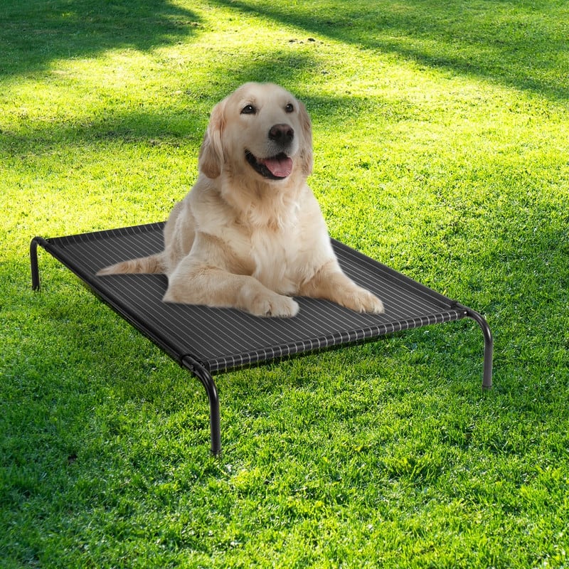 50 in. x 31 in. Iron Frame Gray Mesh Surface Outdoor Dog Cot - 50 in. x 31 in. x 8 in.