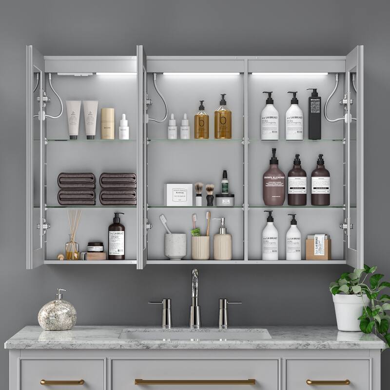 GDFStudio Elowen Aluminum Glass LED Medicine Cabinet with Anti-Fog Storage