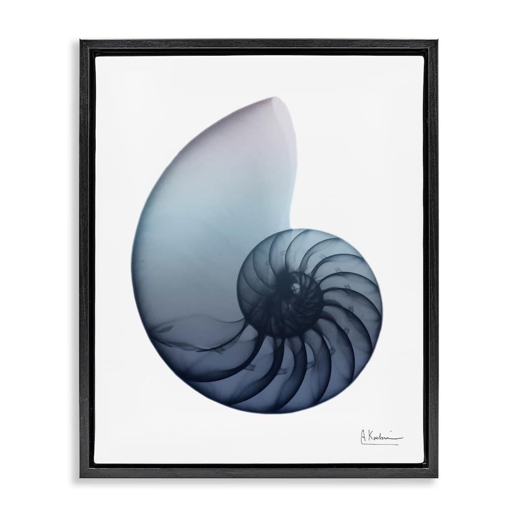Stupell Contemporary Nautilus Shell Framed Floater Canvas Wall Art Design by Albert Koetsier