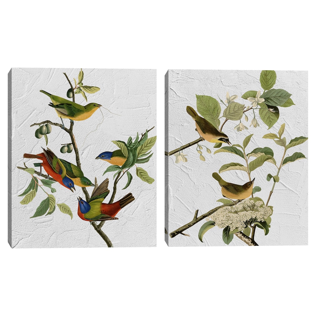 Audubon Yellow Breasted Warbler & Audubon Painted Finch Texture by Design Lab Canvas Art Prints