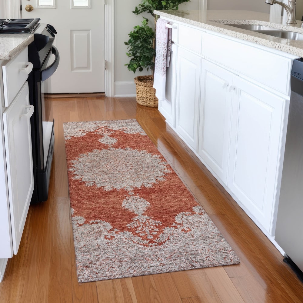 Premium Washable Super Soft Vintage Traditional Mayfield Rug