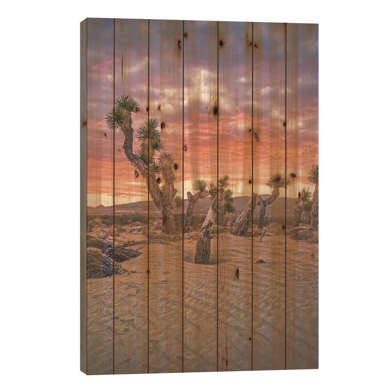 Joshua Tree 2 Print On Wood by Steve Berkley - Multi-Color - 40x26x1.5