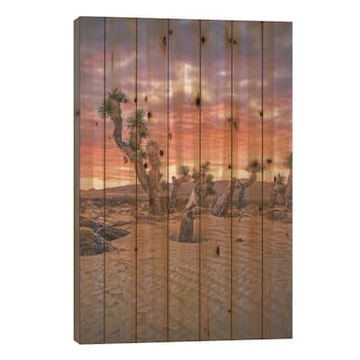 Joshua Tree 2 Print On Wood by Steve Berkley - Multi-Color