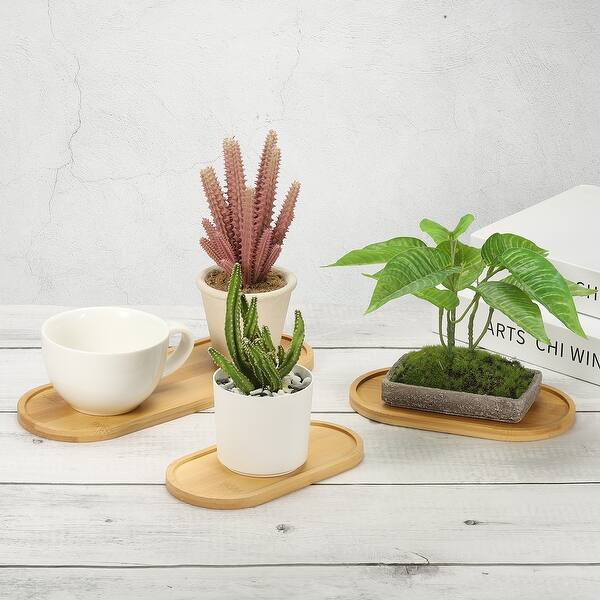 amazon succulent pots 2