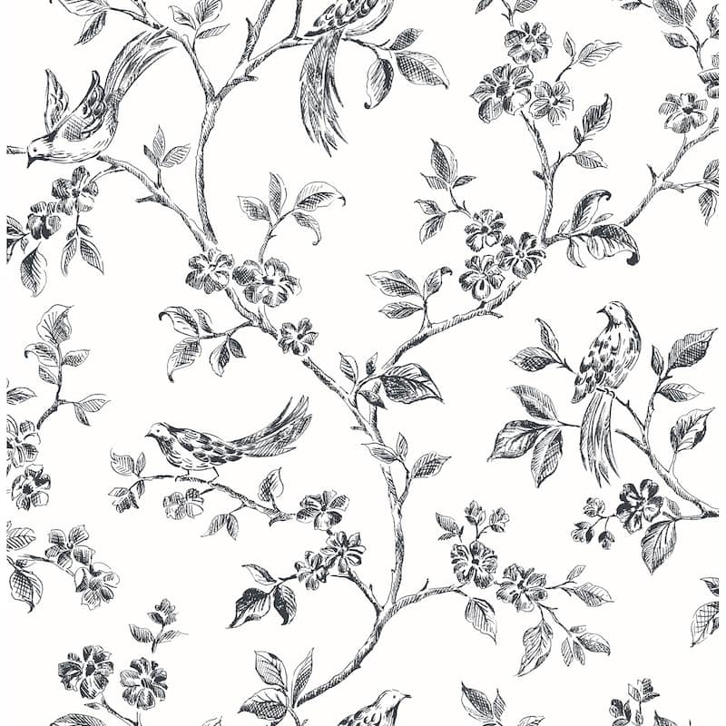 Trails Tatiana Bird Trail Wallpaper 20.5 in x 33 ft = About 56.4 square feet - Black