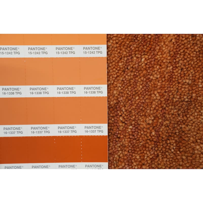 Hand Knotted Oriental 100% Wool Carpet Tribal Animal Pictorial Oranges & Rust Gabbeh Area Rug - 8' 0'' X 7' 10''