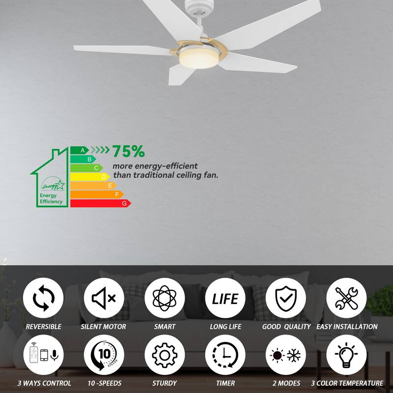 CARRO Boreas 52" Smart Ceiling Fan with Light and Remote-Downrod