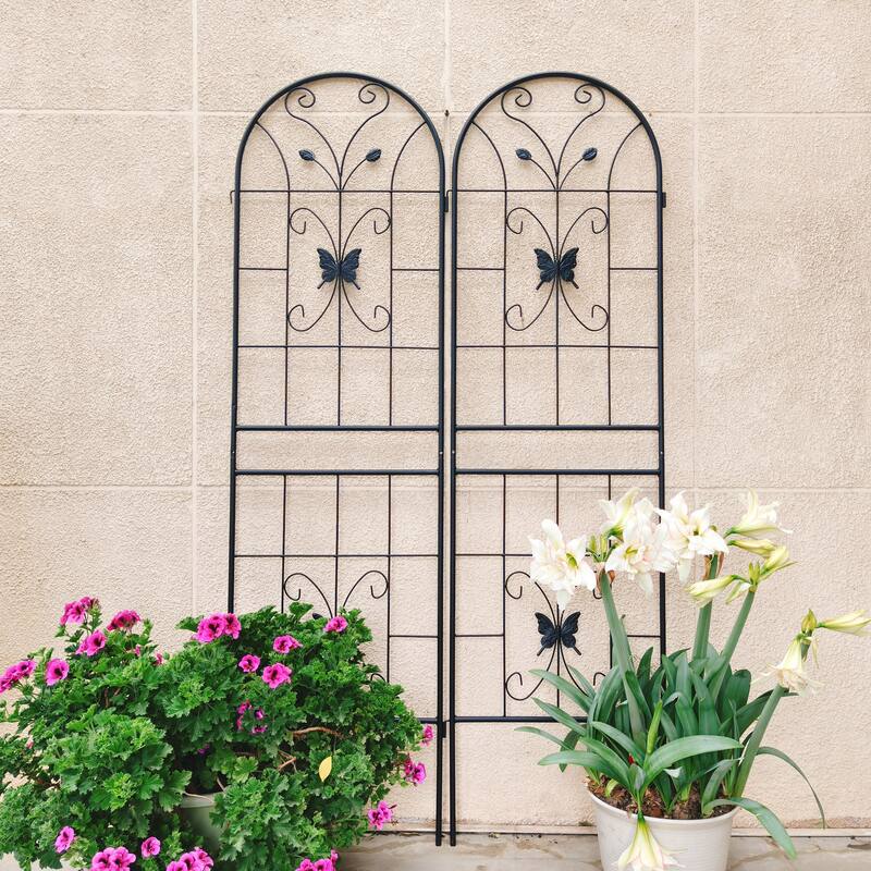 2 Pack Metal Garden Trellis Rustproof Trellis for Climbing Plants Outdoor Flower Support Dragonfly Deco Black