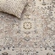 preview thumbnail 27 of 163, SAFAVIEH Madison Diederike Boho Medallion Distressed Rug