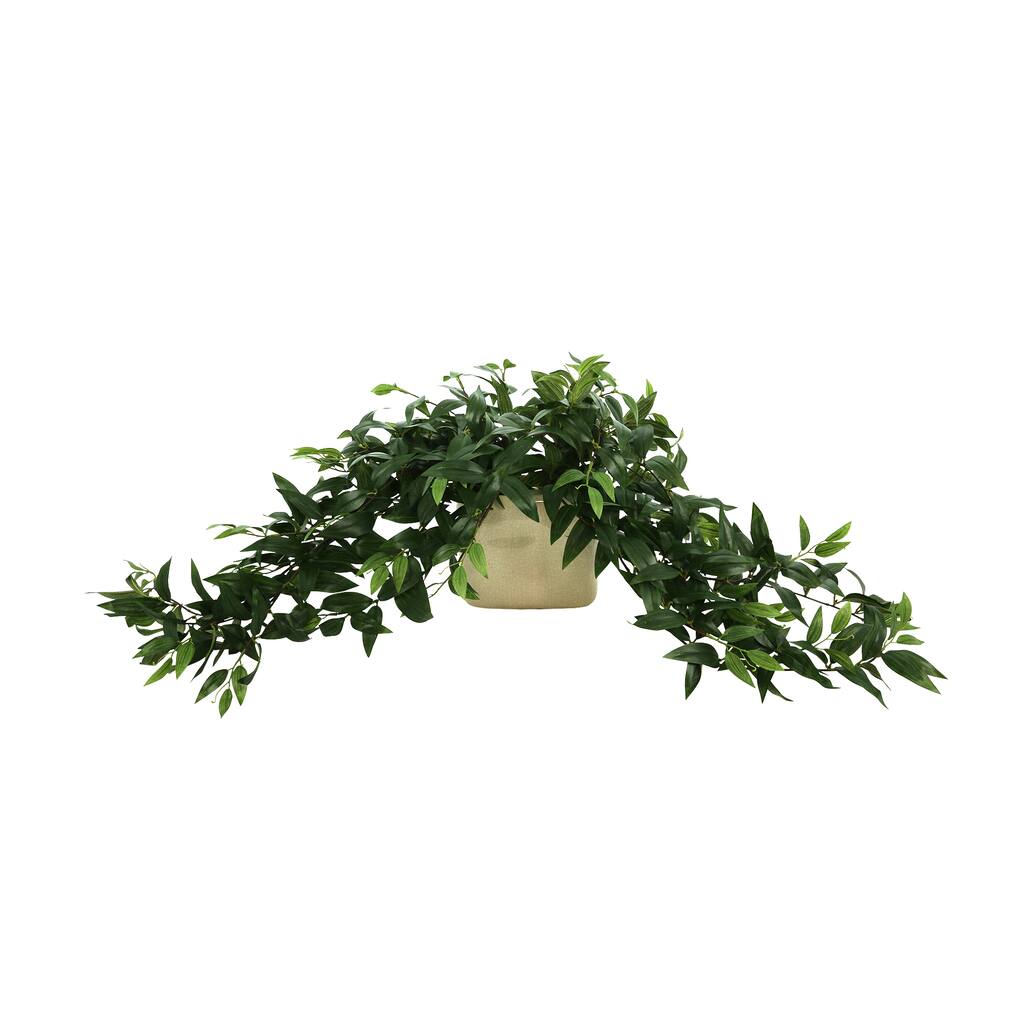 Ruscus Arrangement in Ceramic Pot