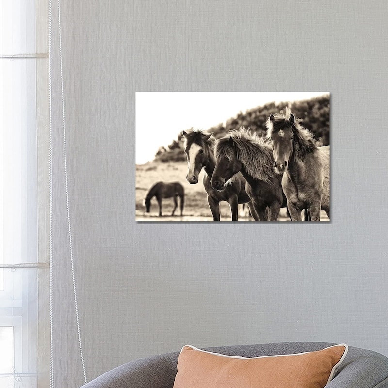 iCanvas "Horses Three Sepia" by Aledanda Canvas Print - 18x26x1.5